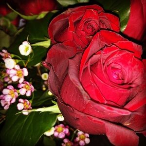 Meet your Posher, Charlene